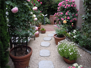 garden1