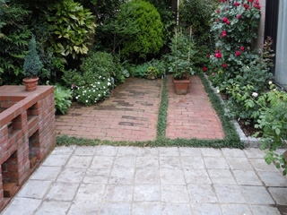 garden4